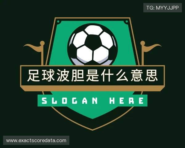 认识波胆网